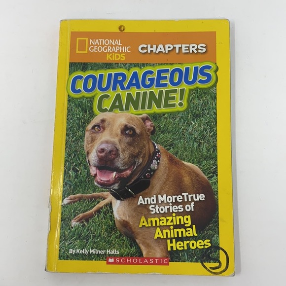 Bundle of 4 Chapter Books for Kids - Picture 4 of 11